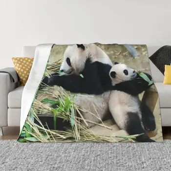 Одеяло Fubao Aibao Panda Fu Bao для зимнего тепла Гипоаллергенные пледы для удобства ухода при перемещении машины