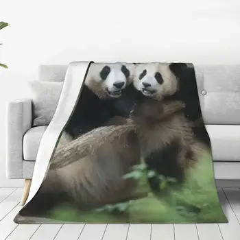 Одеяло с животными Fu Bao Fubao Panda, зимнее тепло, всесезонный комфорт, пледы для роскошного постельного белья по доступной цене
